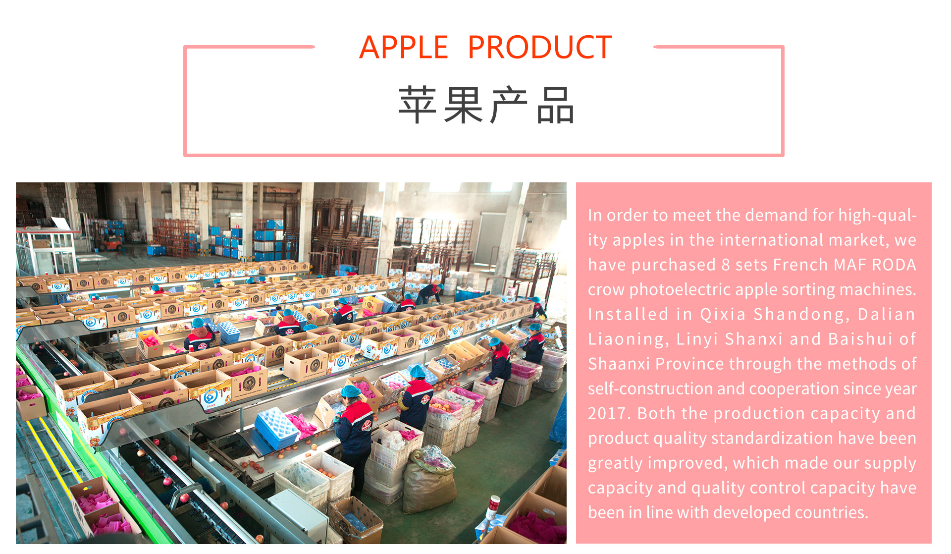 出口業(yè)務(wù)二級頁面-蘋果英文_04.jpg