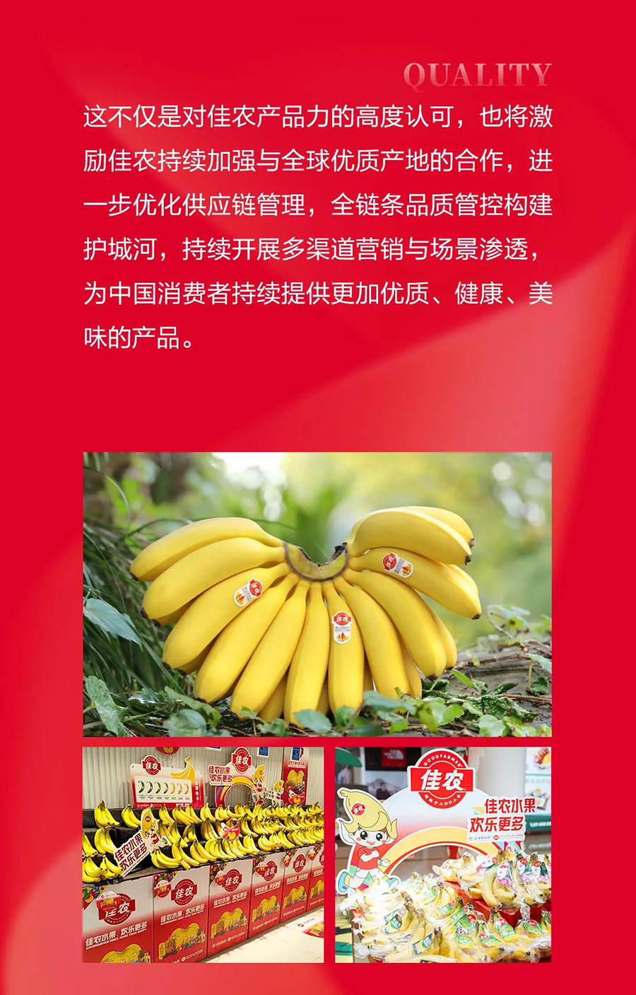 佳農(nóng)香蕉_02.jpg
